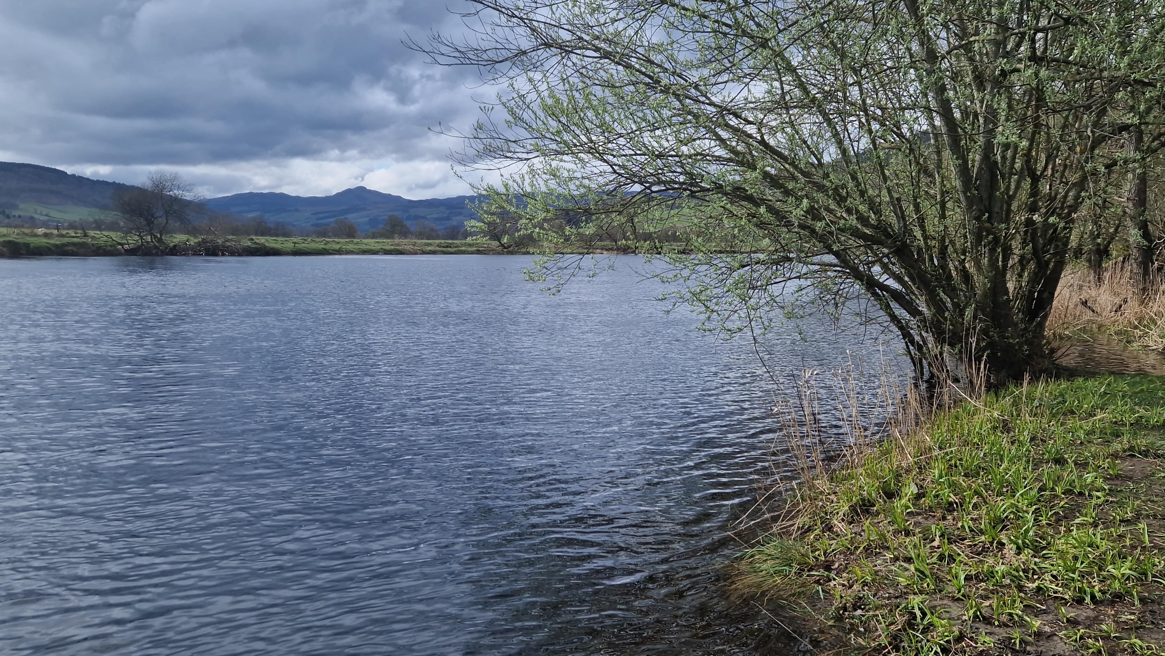 River Tay running past lodges