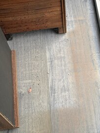 Hard to miss when cleaning. 🧹