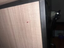 Blood