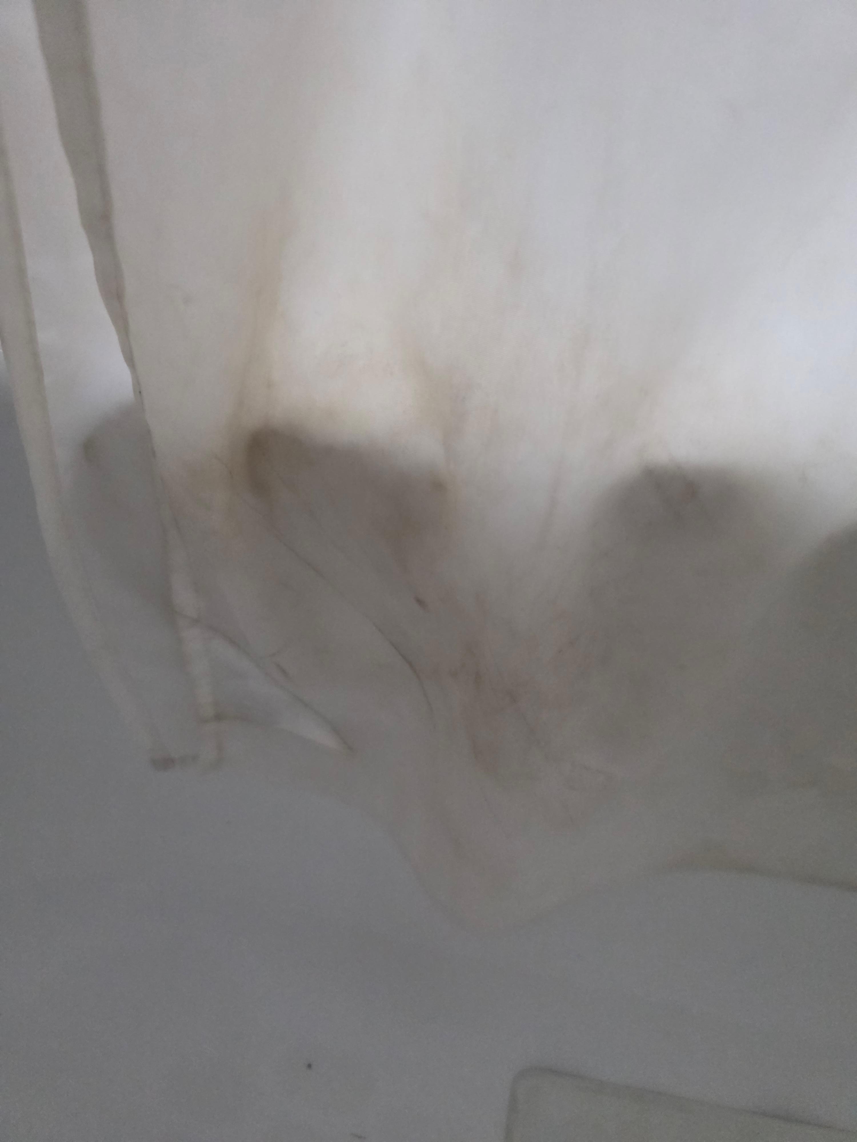 Dirty shower curtain