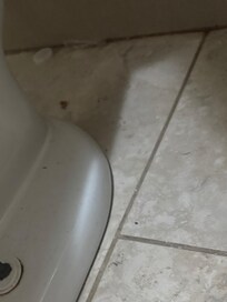 Floor bathroom floor/toilet