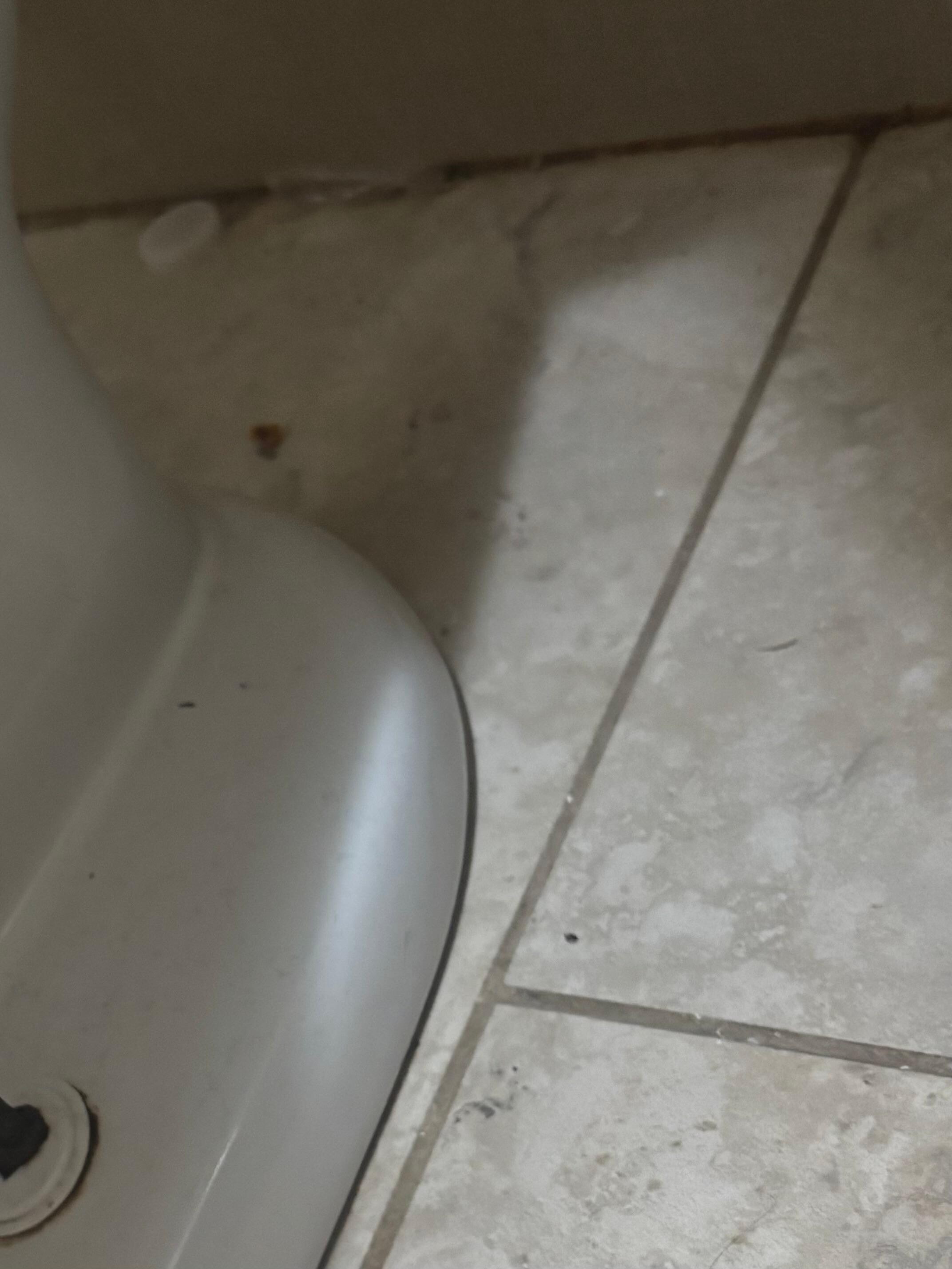 Floor bathroom floor/toilet