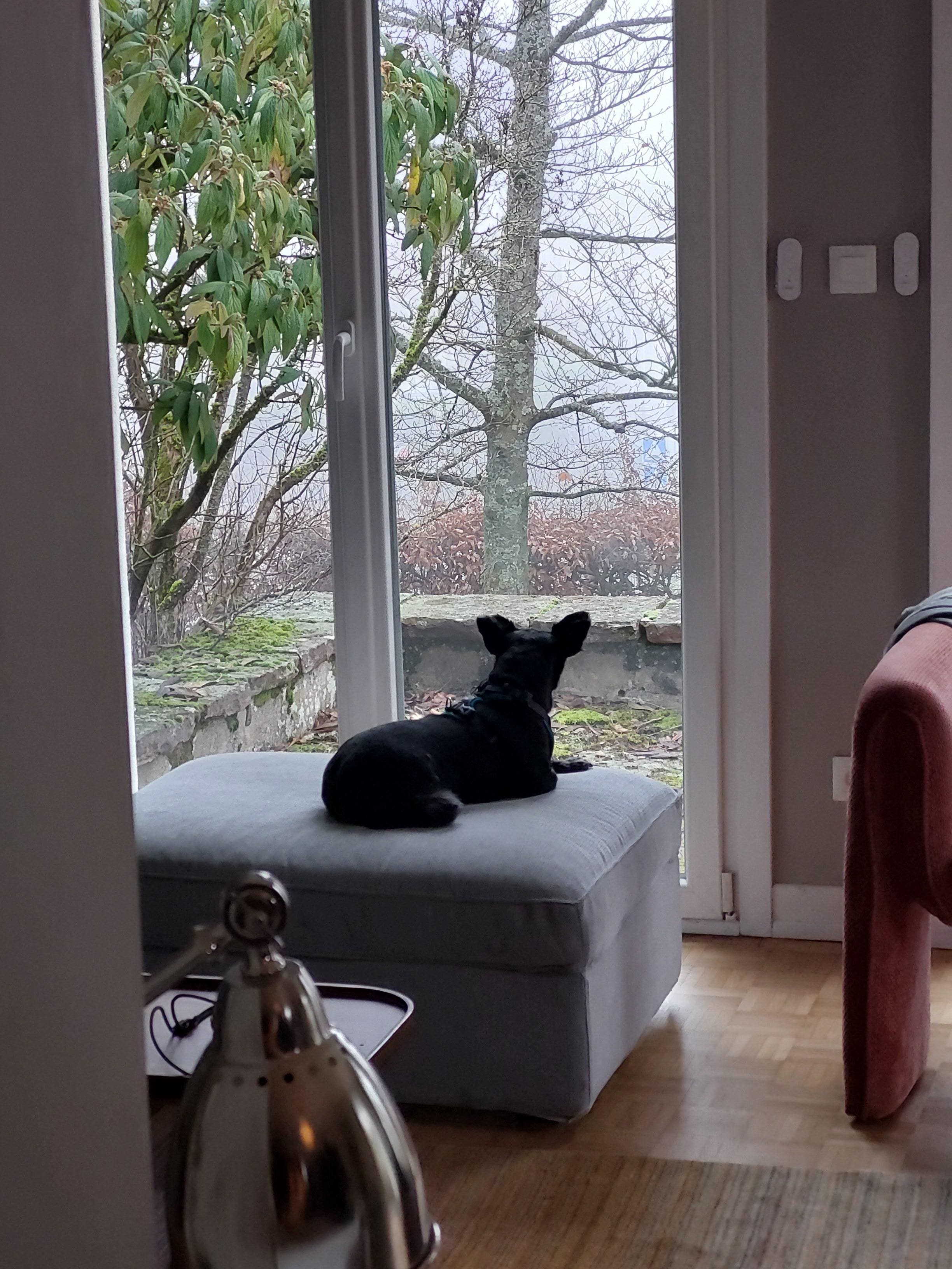 Loulou se sent bien...