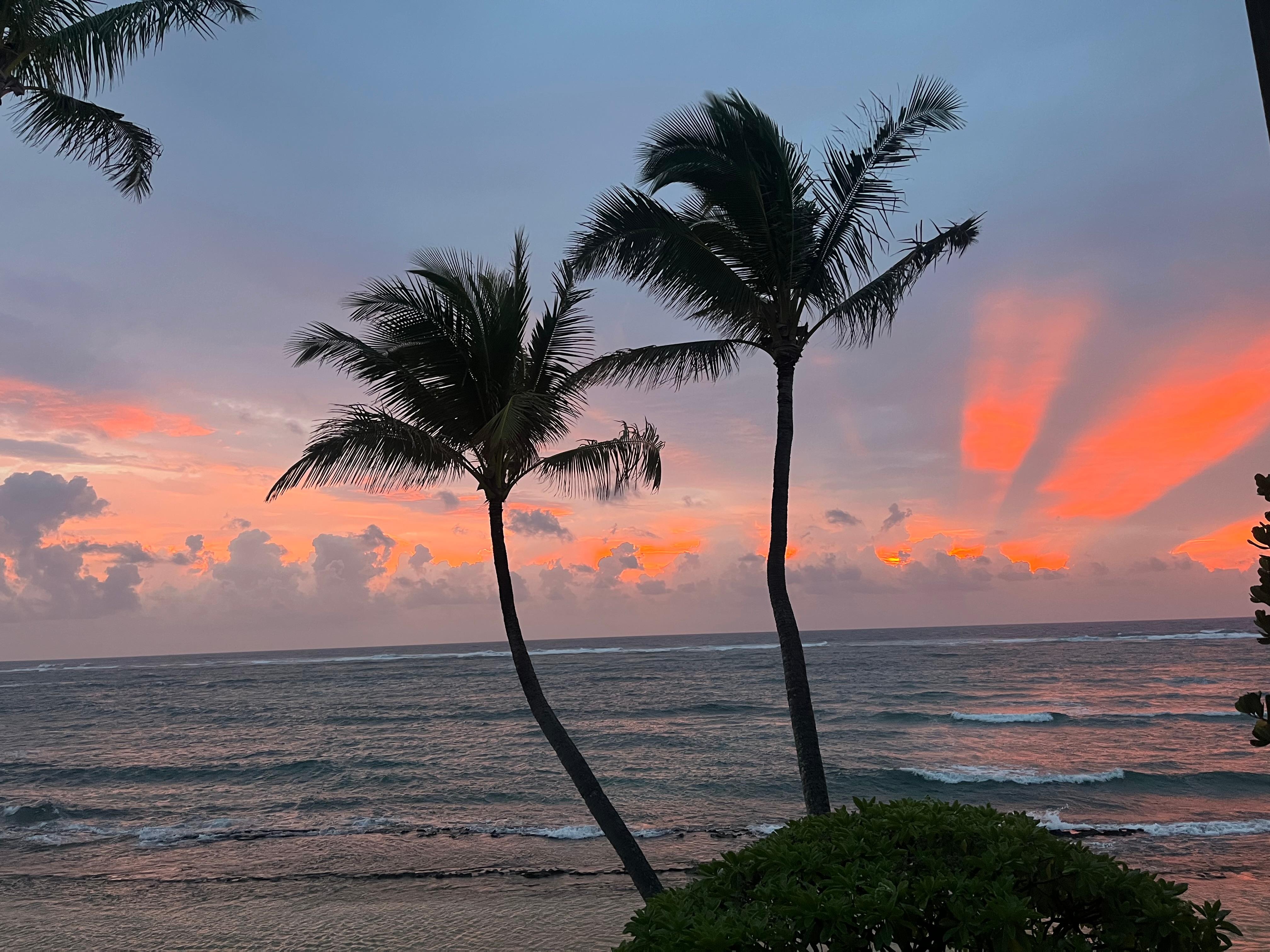 Morning view from lanai.