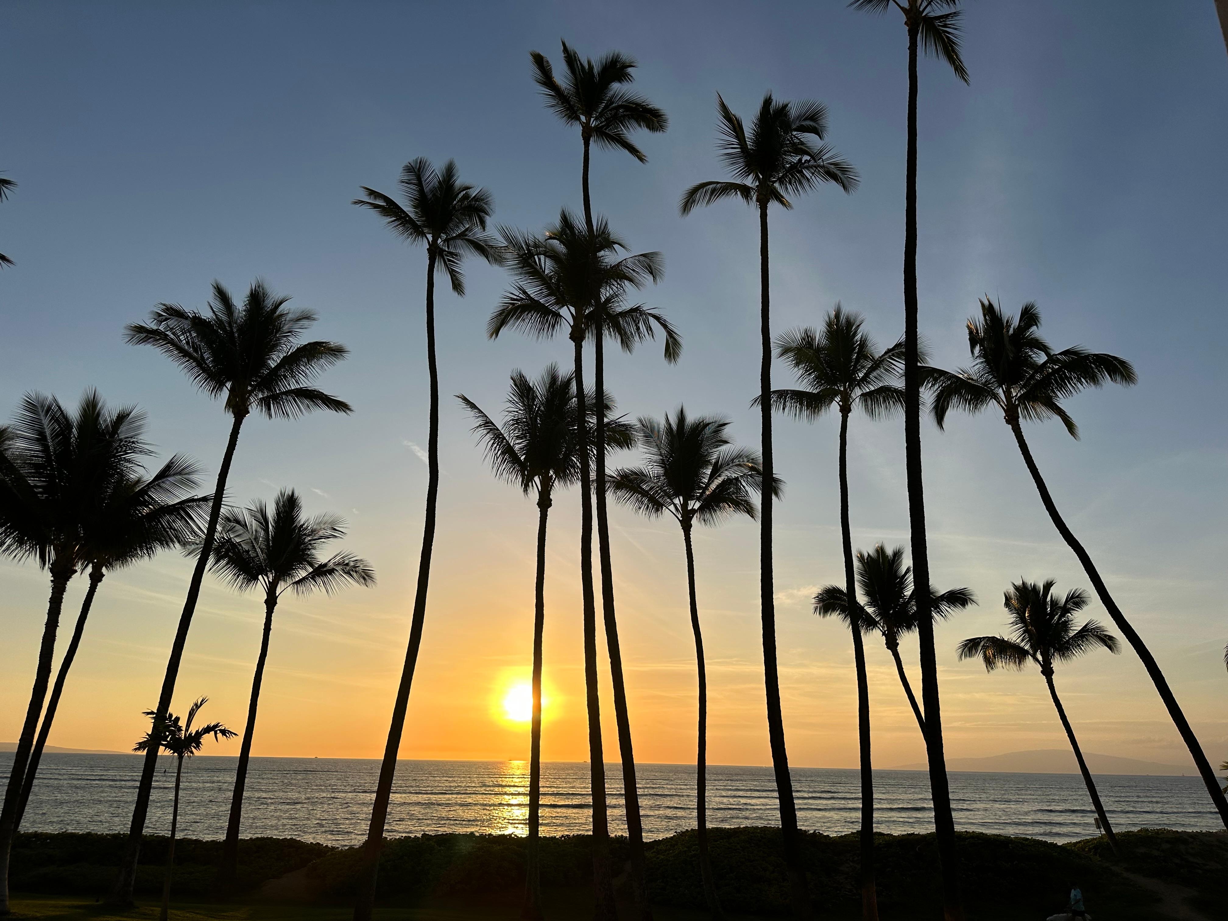 Amazing sunsets...see how close to the water you are!