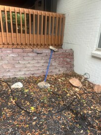 Random broom in the yard