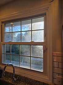 Windows were filthy webby and had dead vines stuck to some of them.