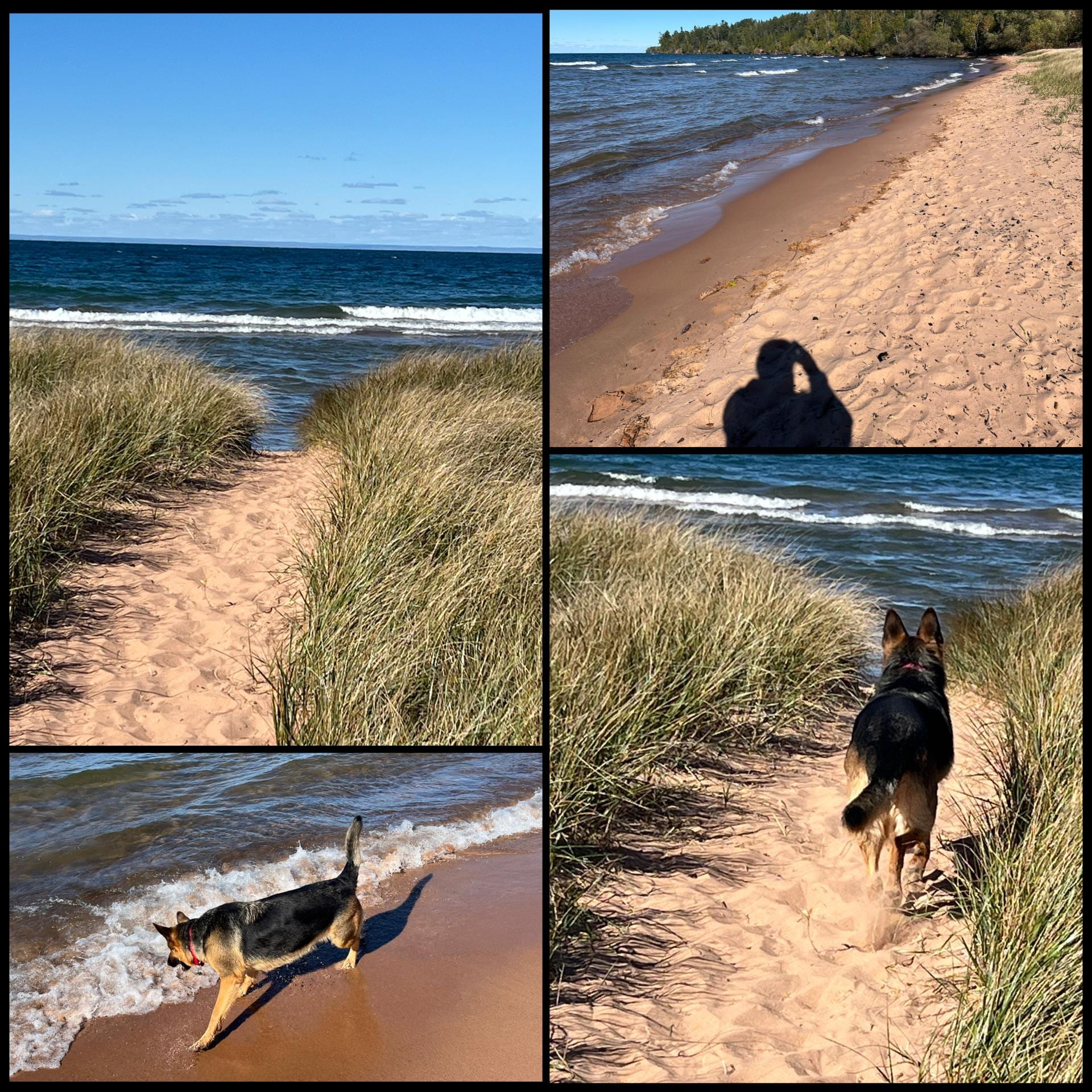 Walking the dunes and the beach down the road. Tall grasses and sandy beach.