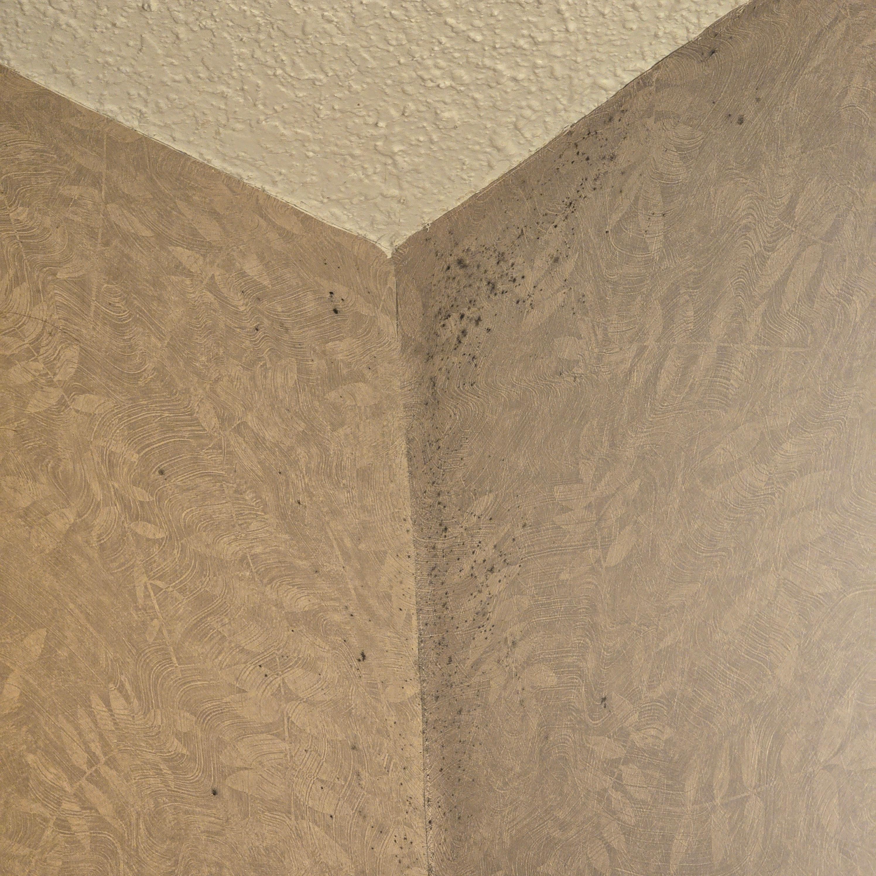 Mold in the room corner