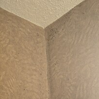 Mold in the room corner