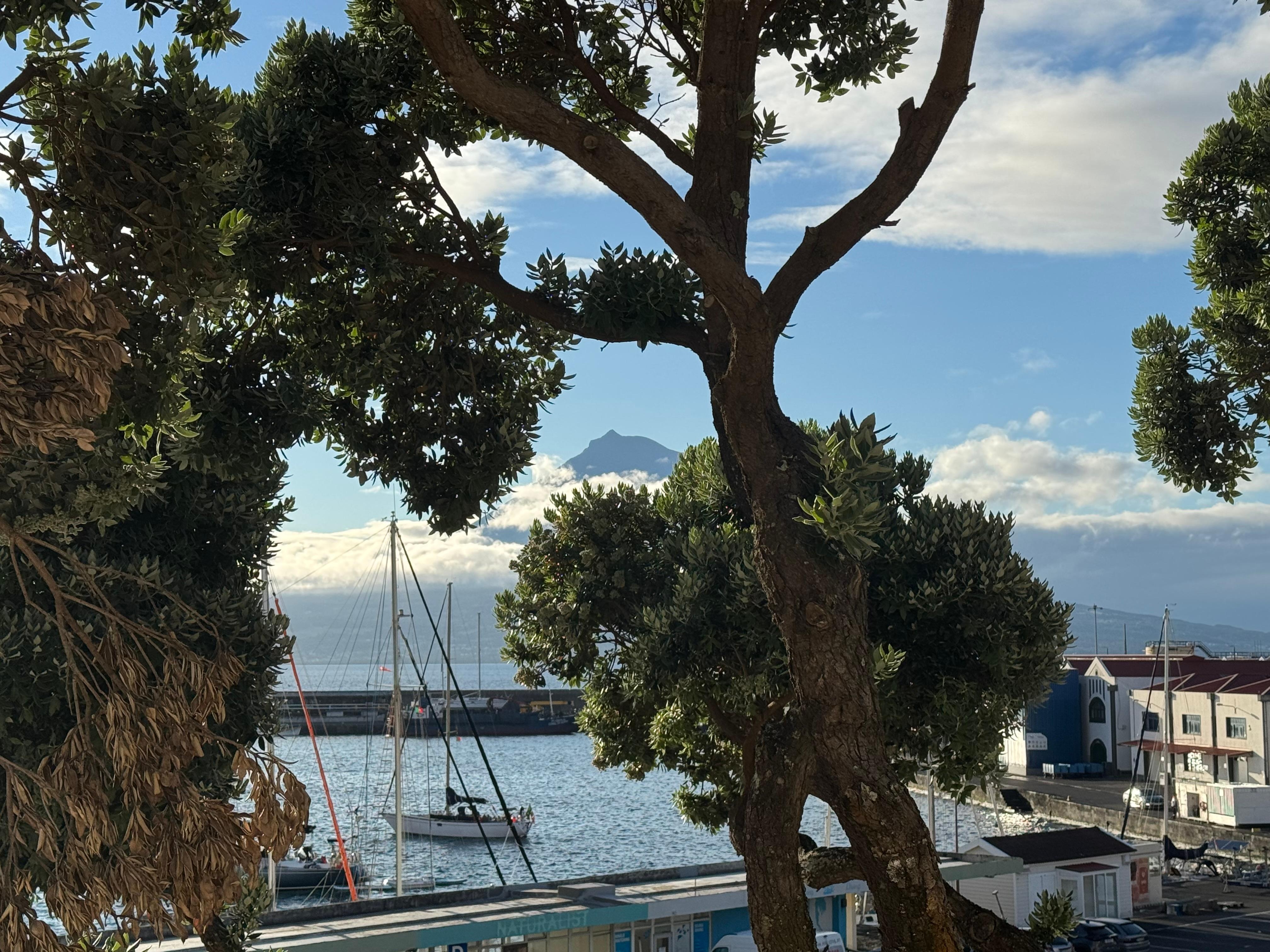Mount Pico from our balcony. 