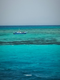 Een coral rif
