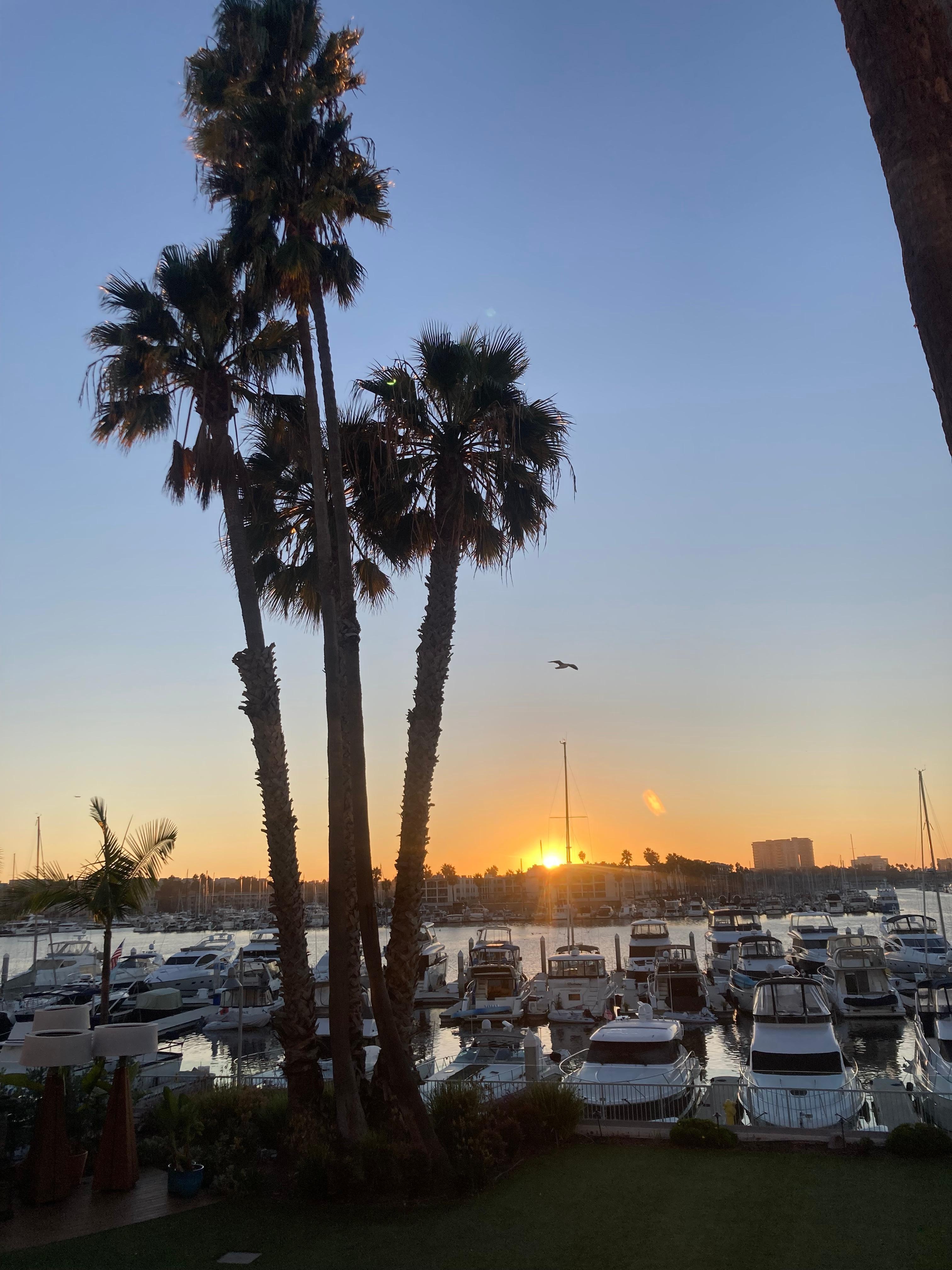 Sunset view from room.