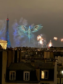 That view from the balcony during the Bastille Day fireworks.