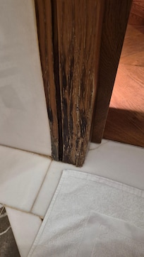 Bathroom trim by shower