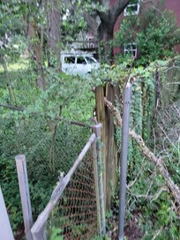 Yard next to lot