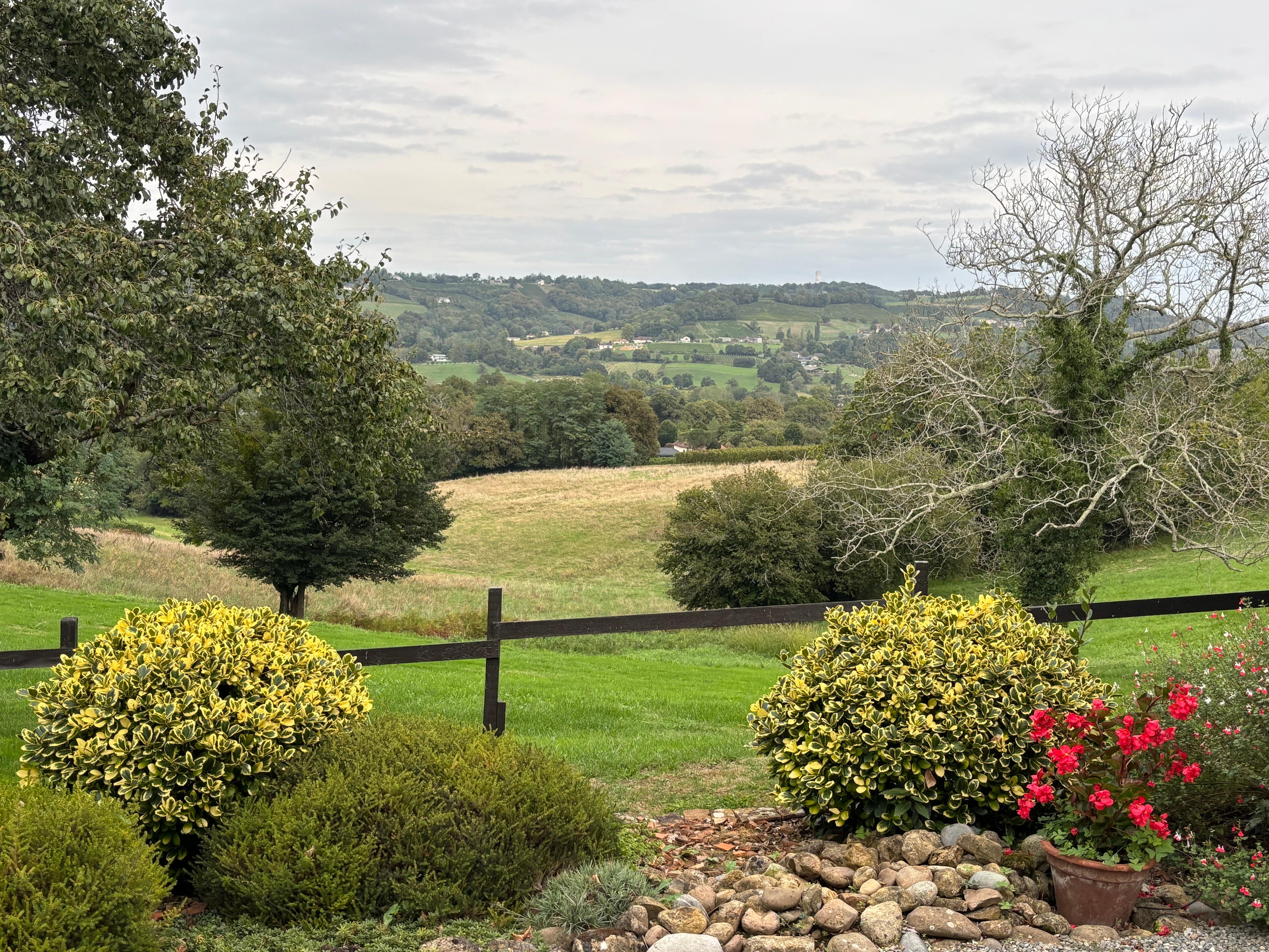 One of many views from the front door.