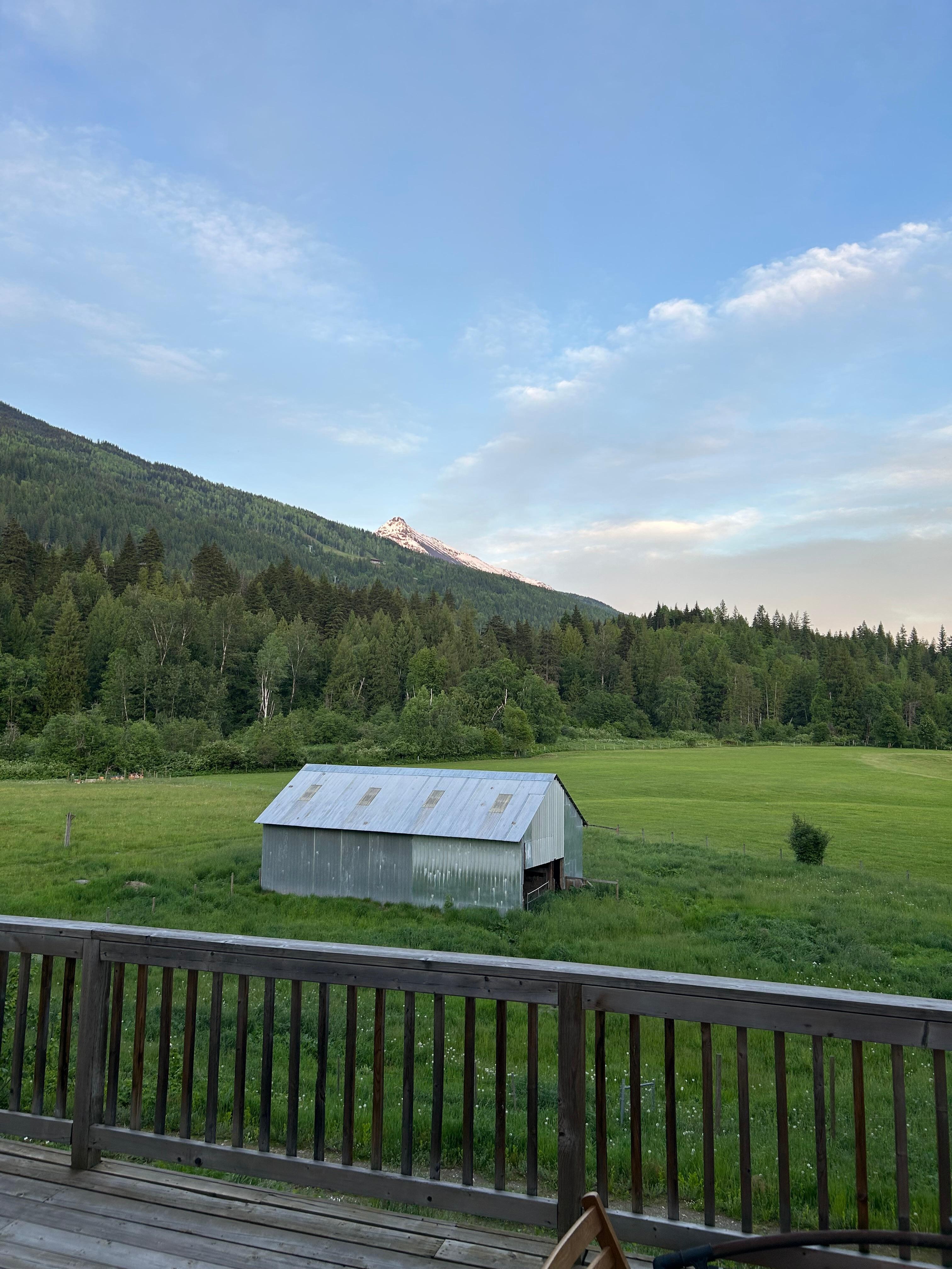 View from patio