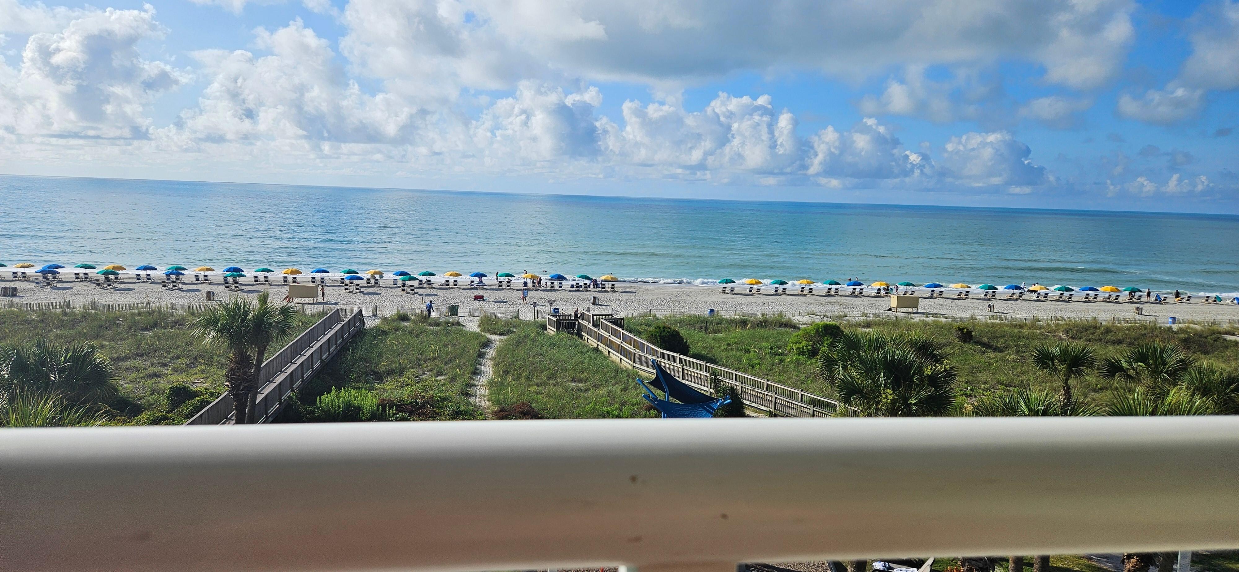 Morning view while drinking coffee. 