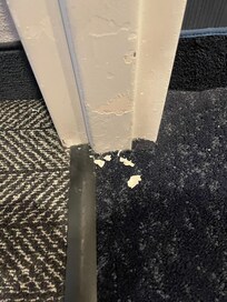 Paint chips (that my 9 month old nephew got hold of and put a piece in his mouth)