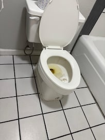 Mold around bottom of toilet.. which did not flush properly