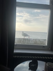 With a view