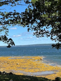 Low tide at shoreline.