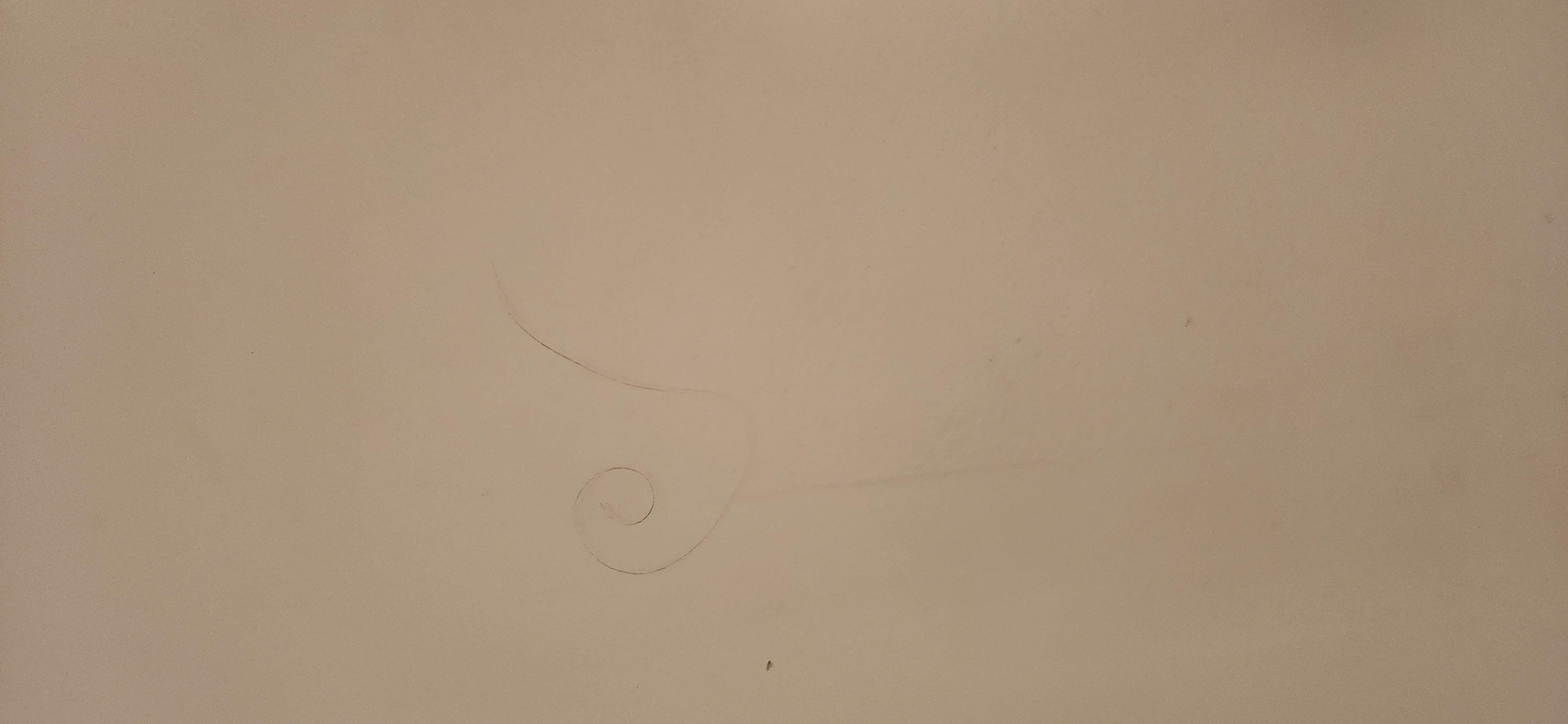 Hair strand and dark stains in tub.