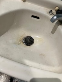 Toilet sink