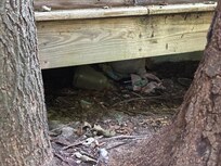 Trash under the porch.