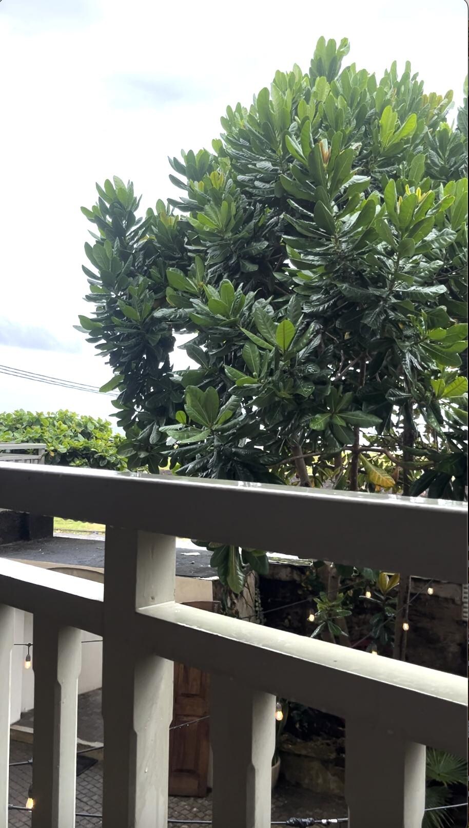Breakfast on the Balcony
