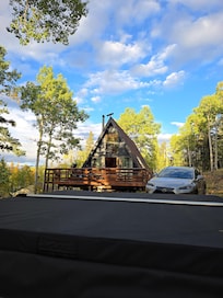 Beautiful view of the cabin with a circular driveway