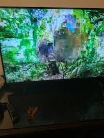 TV didn't work. Pixelated