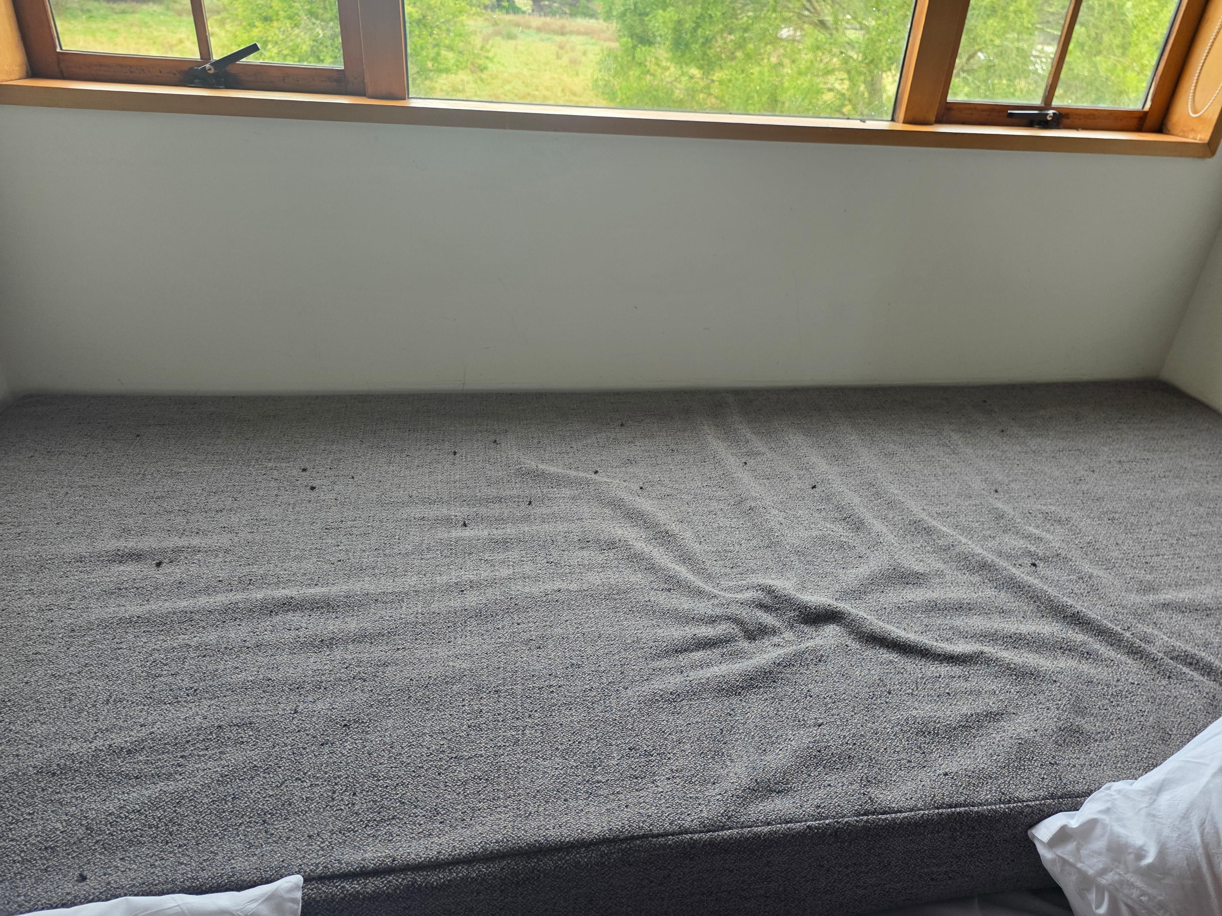 Small sample of flies in upstairs bedroom. should have taken more photos 