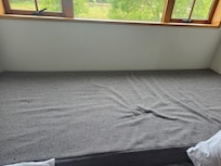 Small sample of flies in upstairs bedroom. should have taken more photos