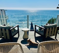 Our dog enjoying the sun on the upper deck. This beach is a dog’s paradise!