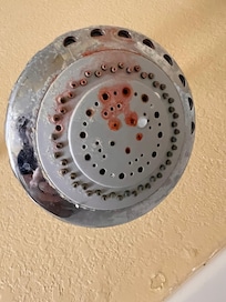 Nasty shower head