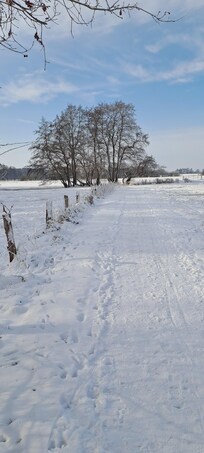 Worpswede im Februar 2026