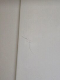 Hair left in shower.