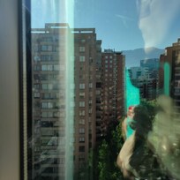 La maravillosa viste de mi ventana.