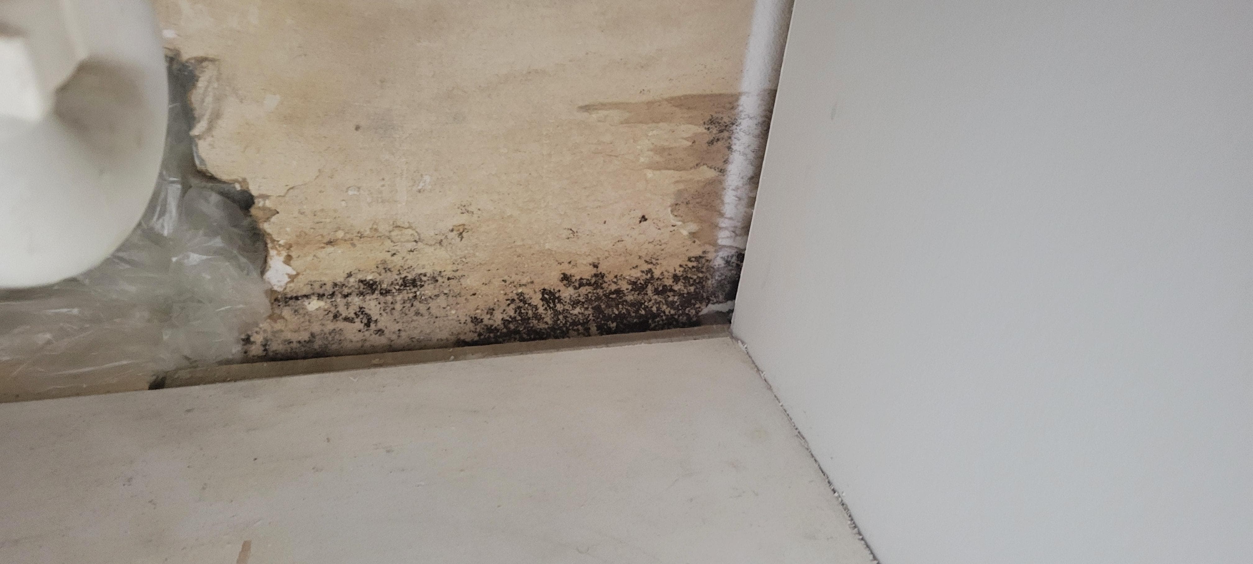 Under master bath sink