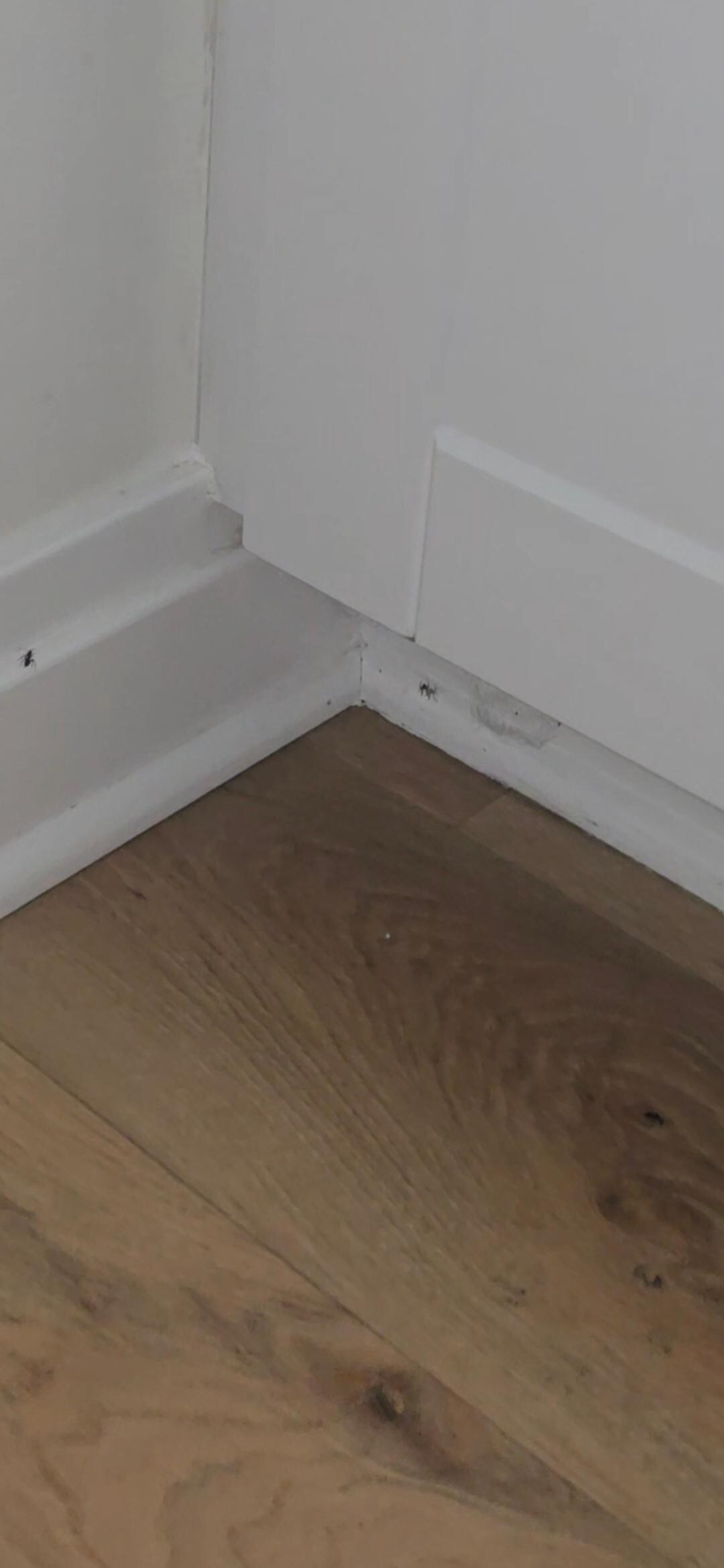 Kitchen Floor