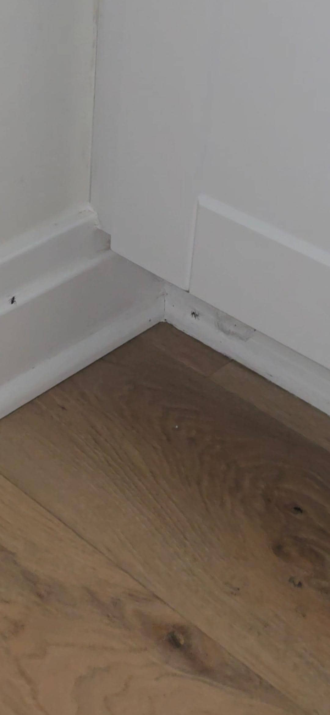 Kitchen Floor