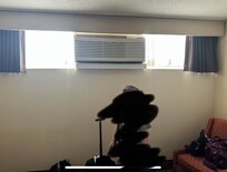 High windows