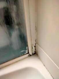 Mould in shower