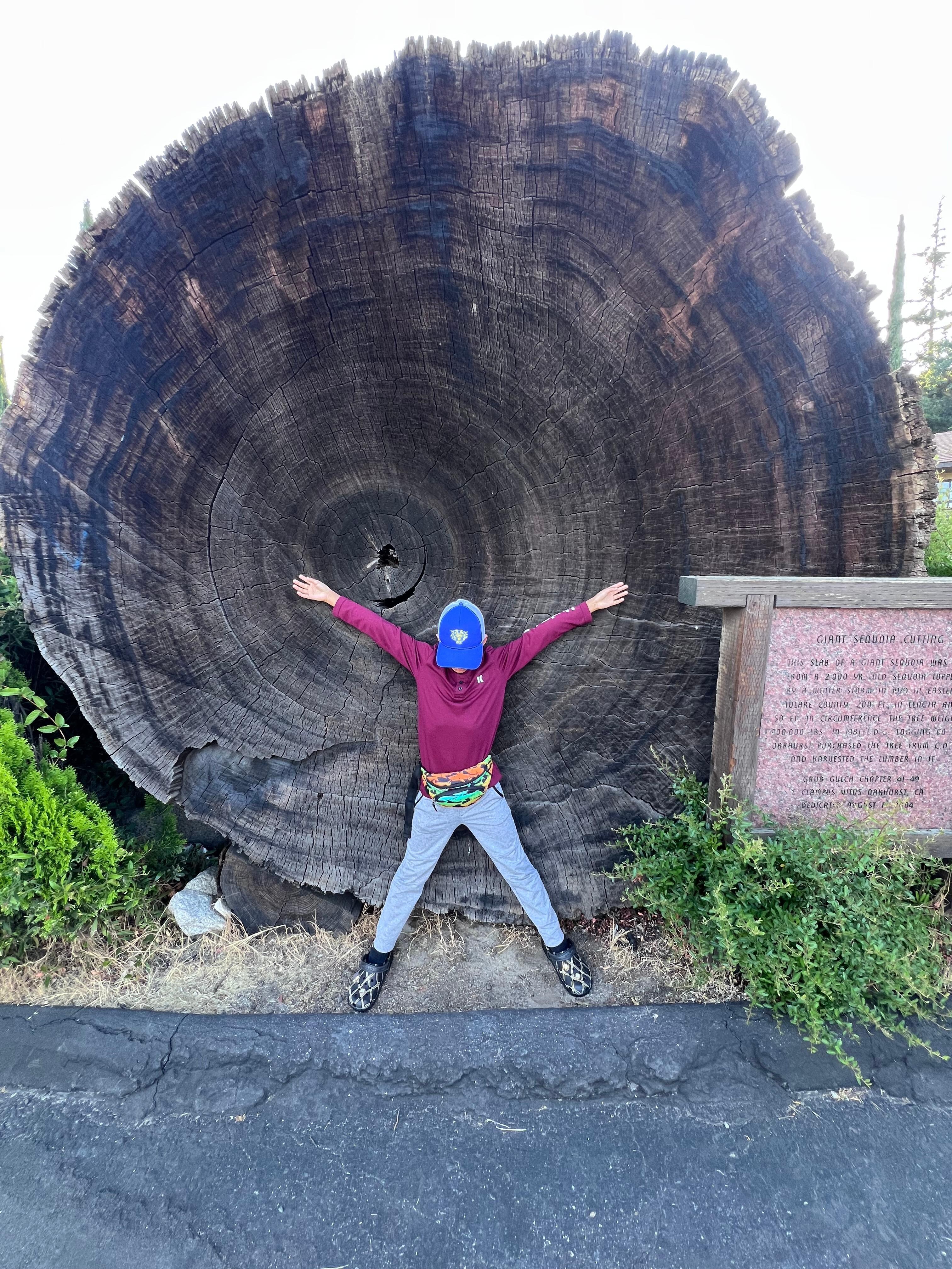 Had awesome picture spots 