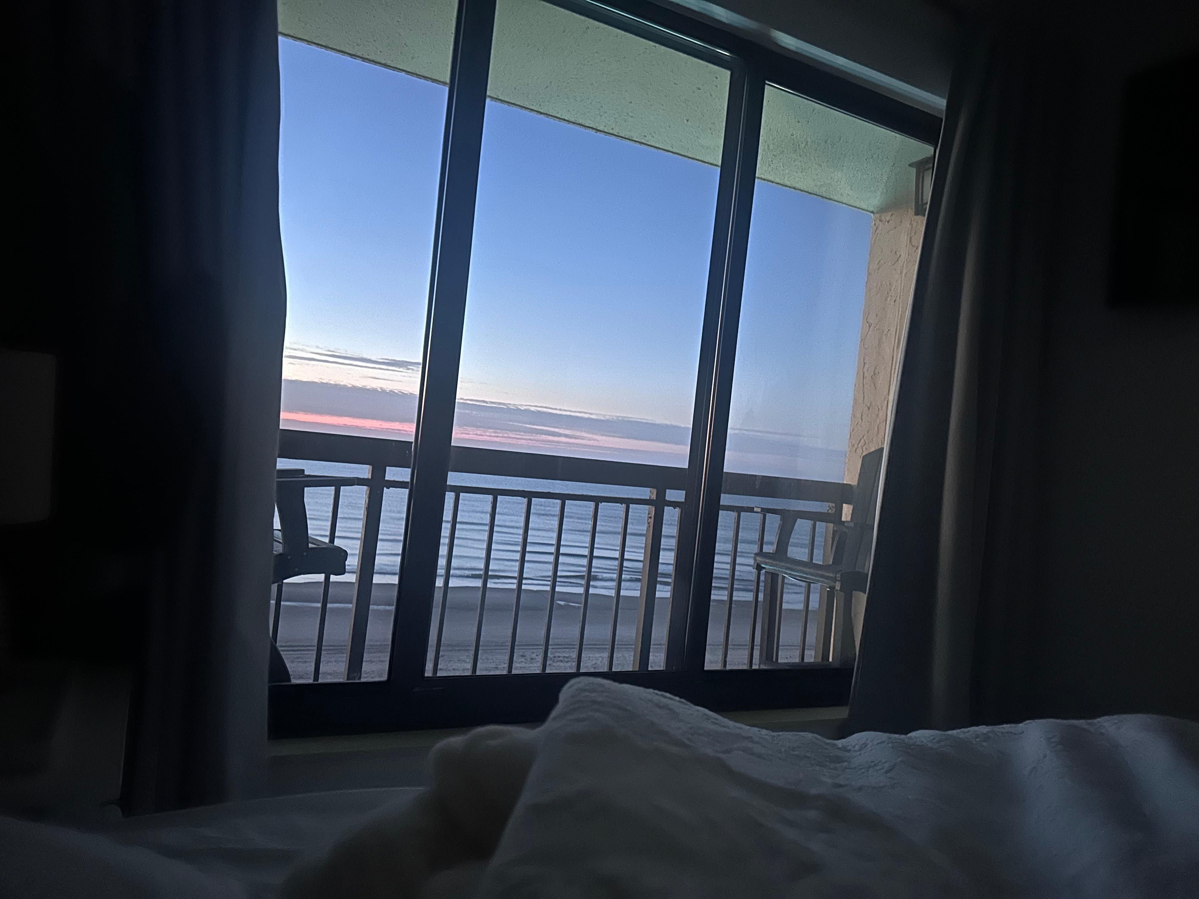 Morning view from bed!