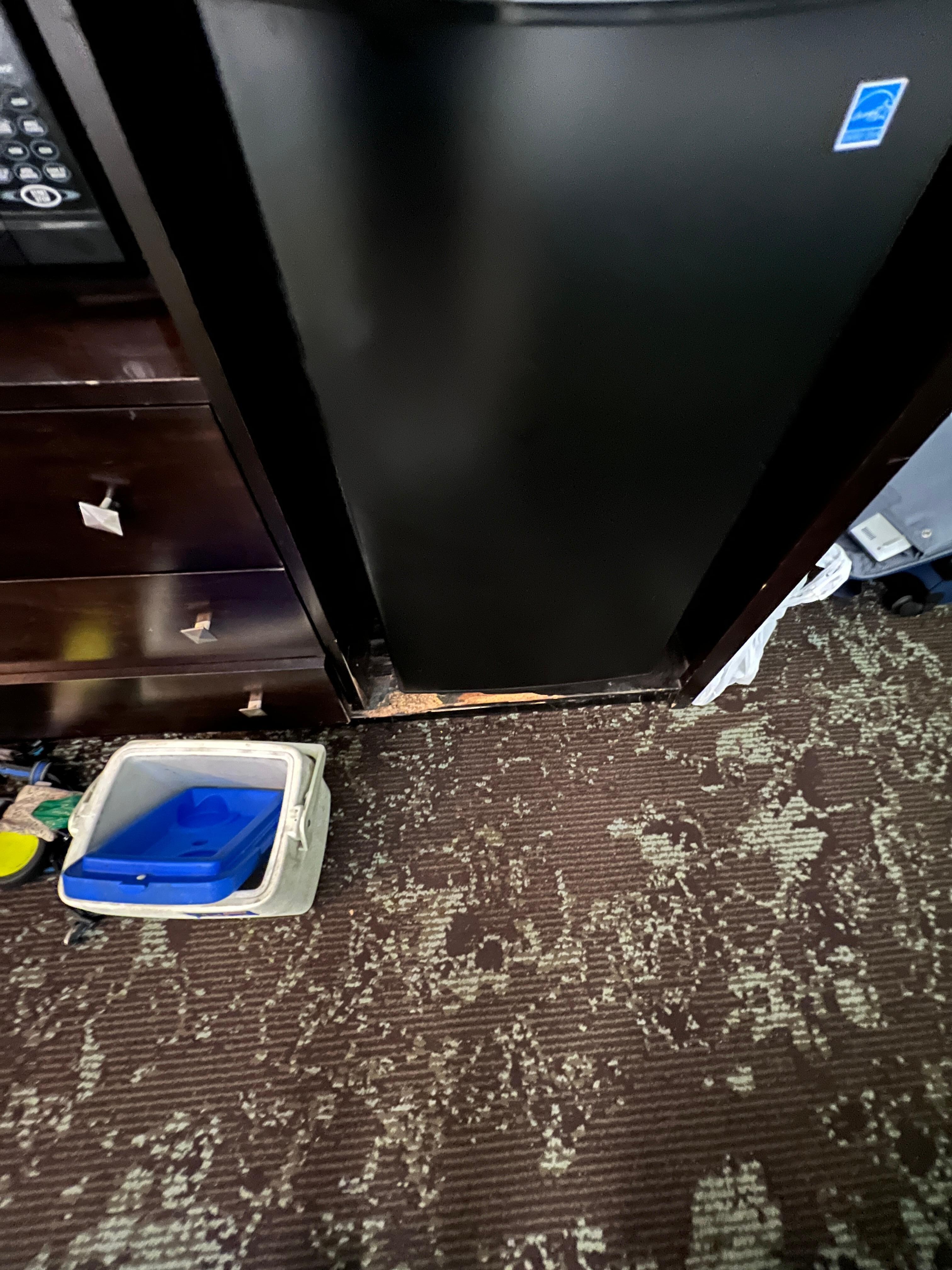 Wooden fridge cabinet was chewed. 