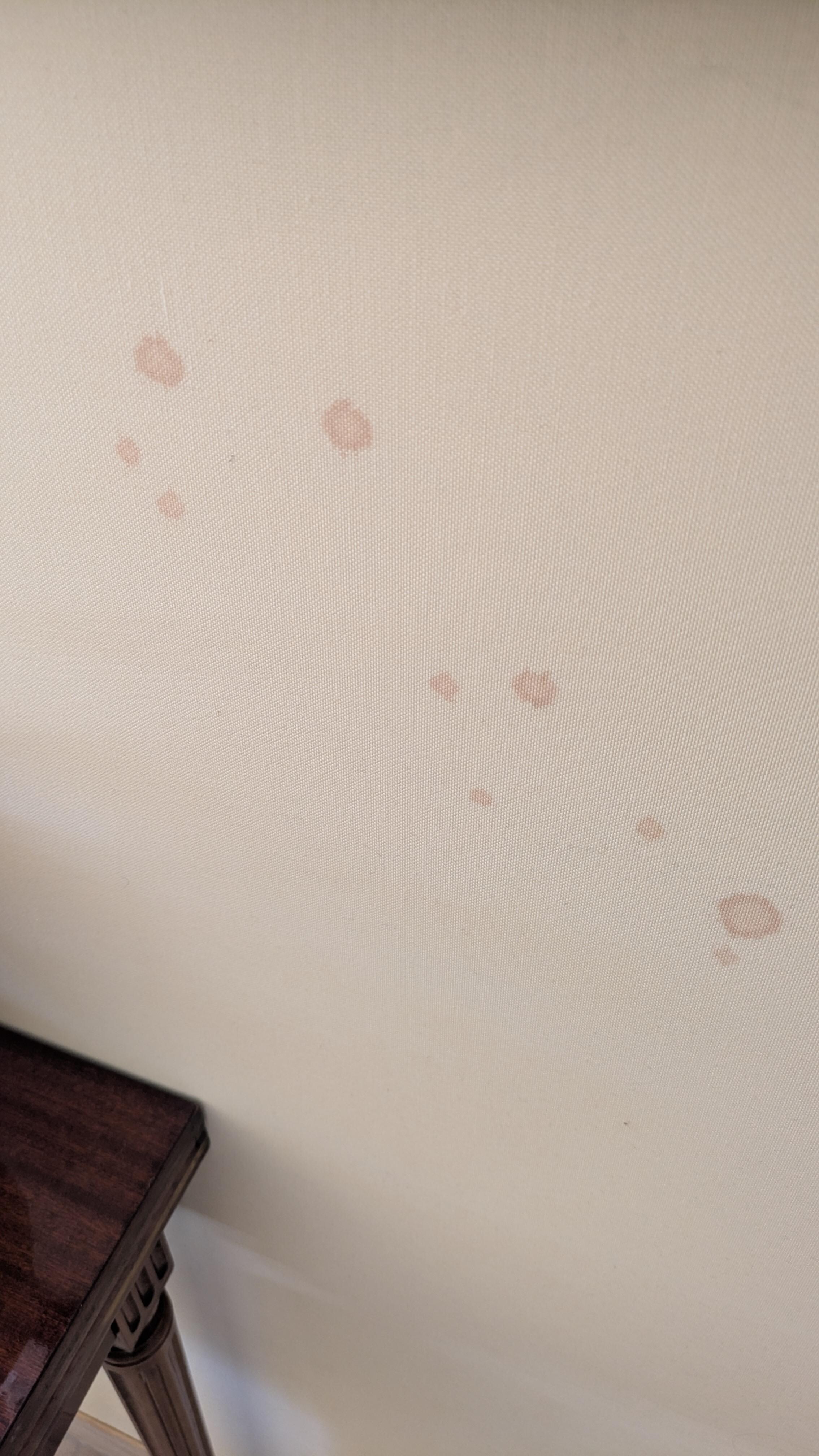 Stains on wall