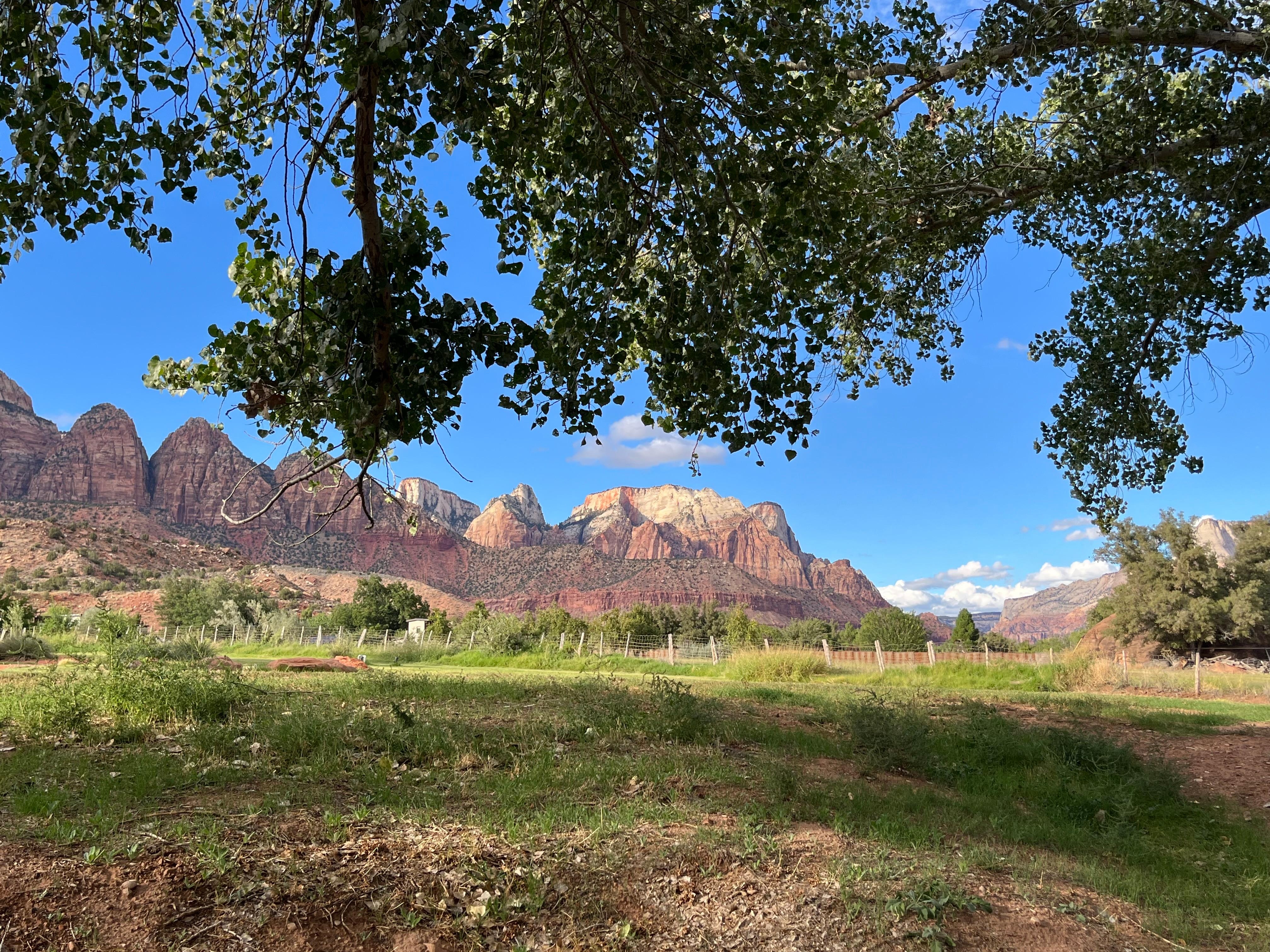 View out our patio door 